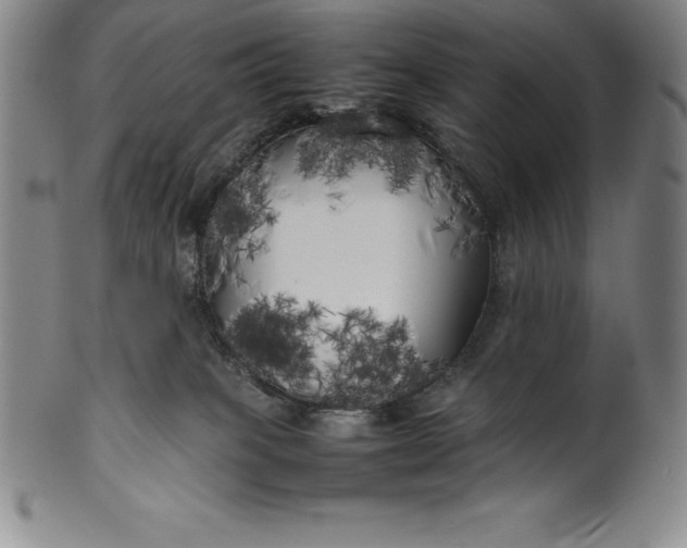 X0000100490085200806271246