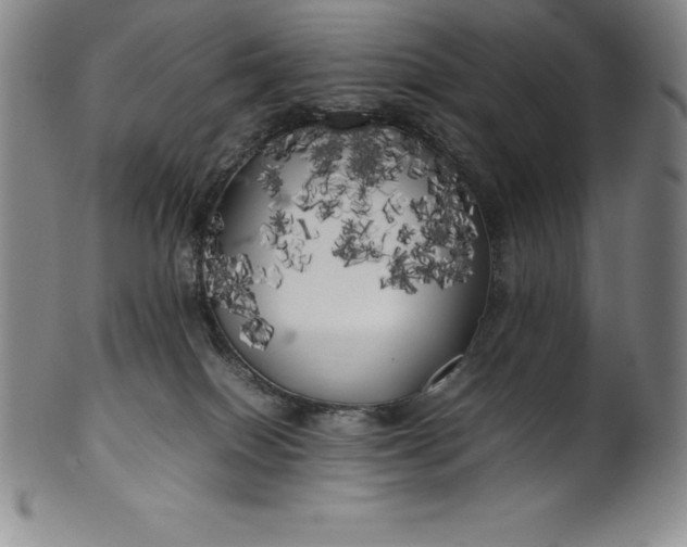 X0000100490086200806271246