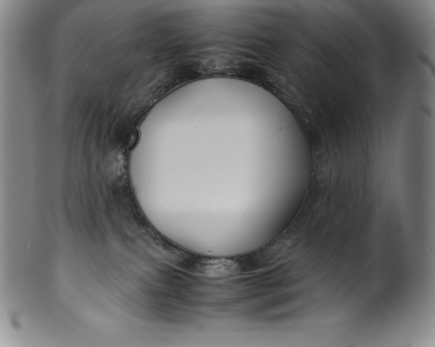 X0000100490087200806271246