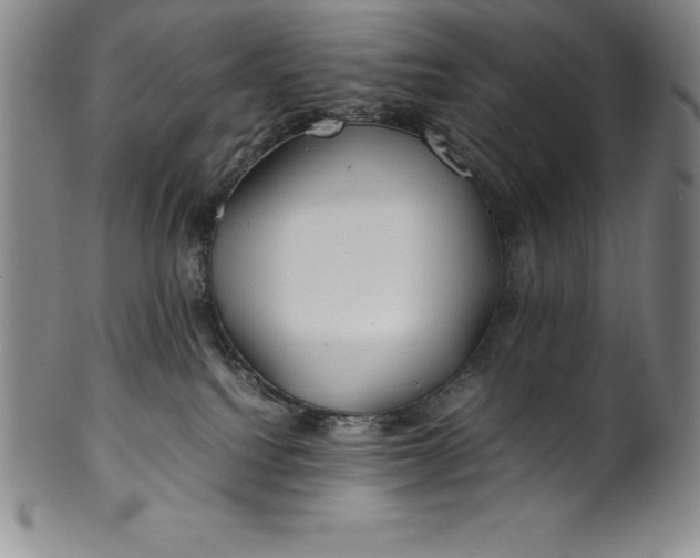 X0000100490088200806271246