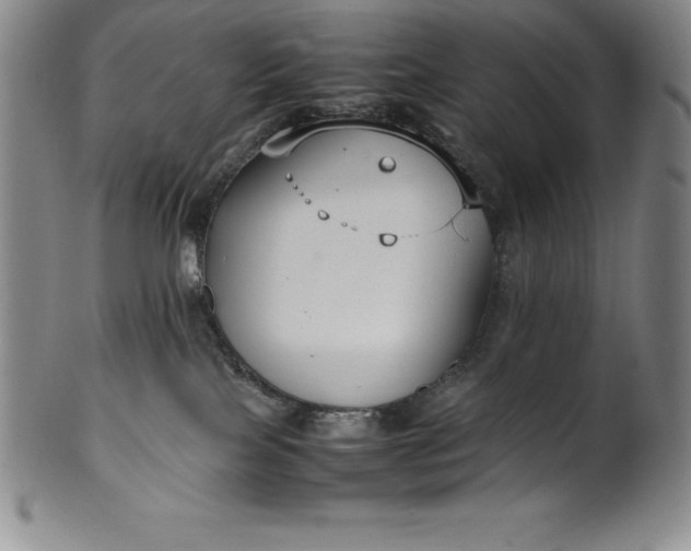 X0000100490089200806271246