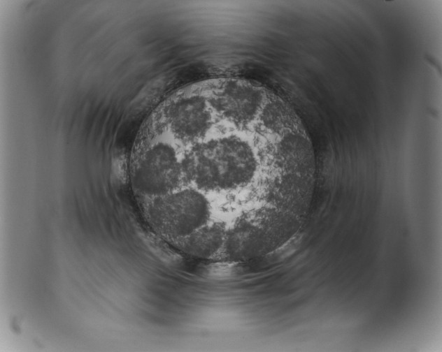 X0000100490090200806271246