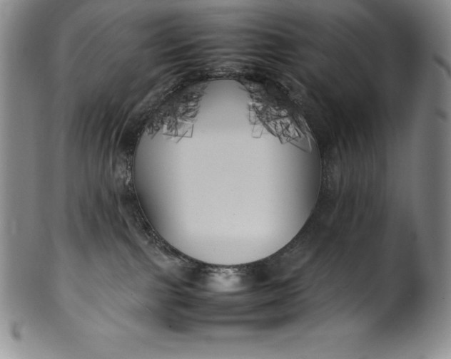 X0000100490091200806271246