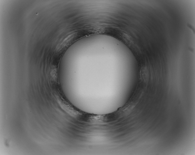 X0000100490092200806271246