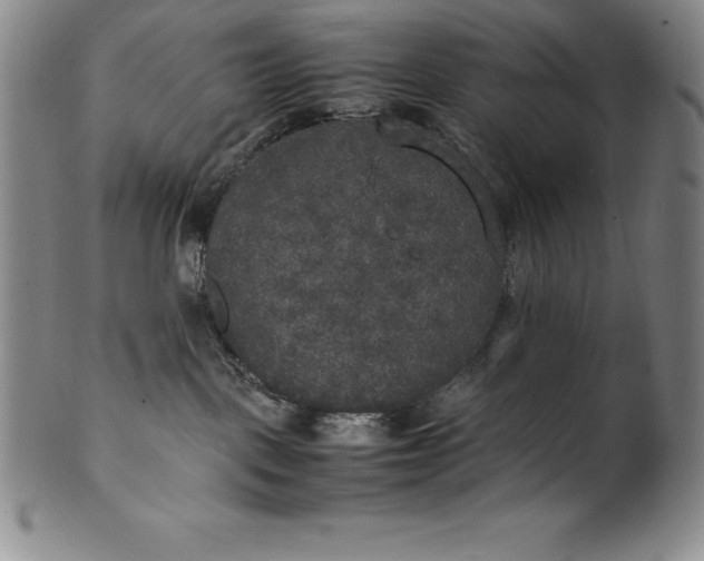 X0000100490093200806271246