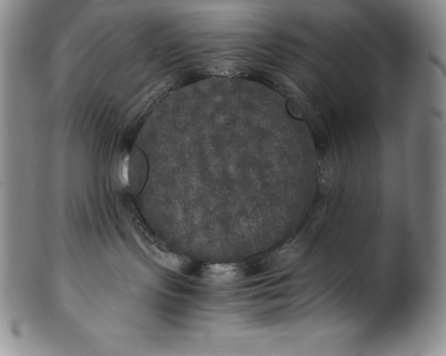 X0000100490095200806271246