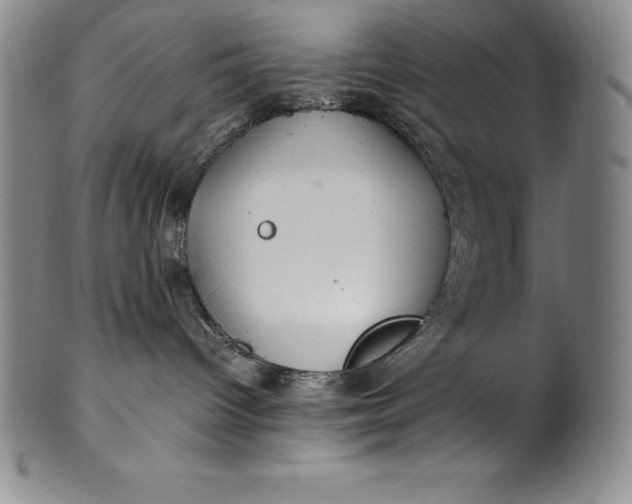 X0000100490096200806271246