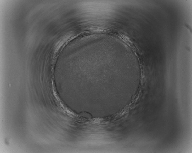 X0000100490097200806271246