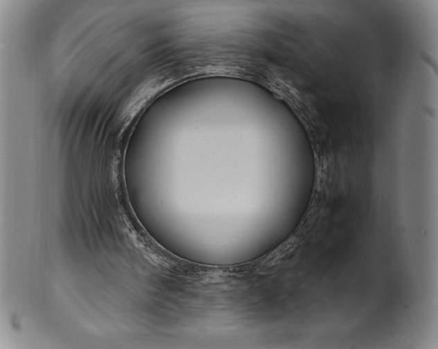 X0000100490098200806271246