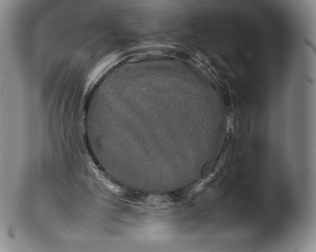 X0000100490101200806271246