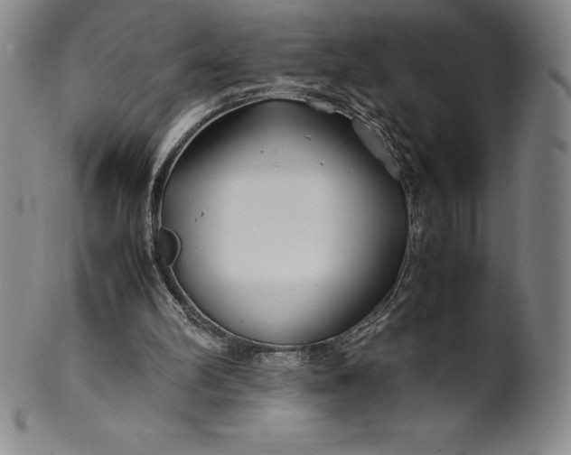 X0000100490102200806271246