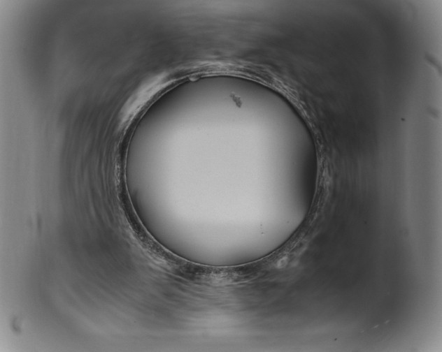 X0000100490103200806271246