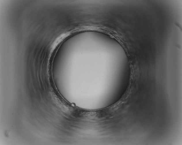 X0000100490104200806271246