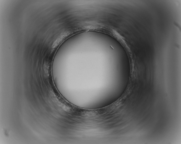 X0000100490106200806271246