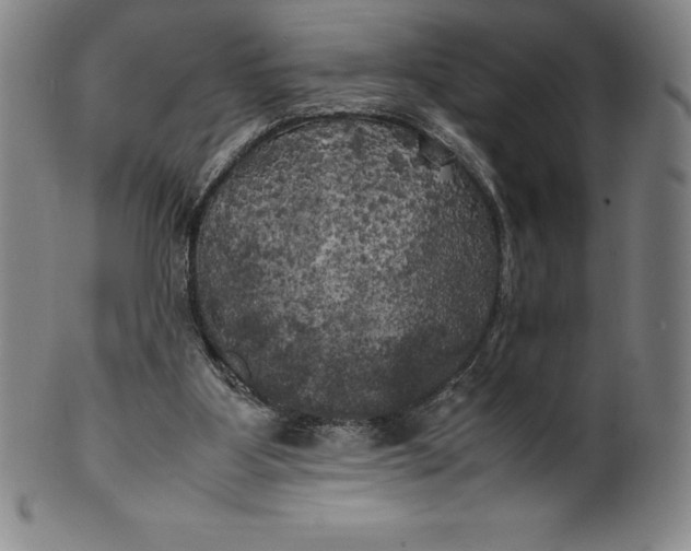 X0000100490107200806271246