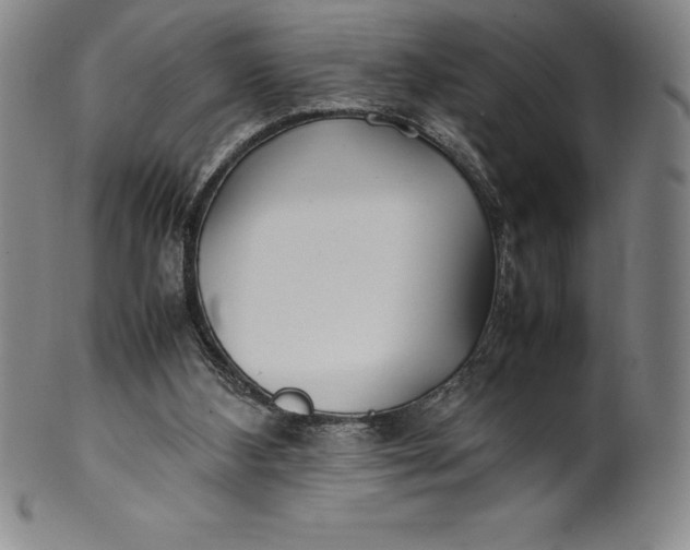 X0000100490108200806271246