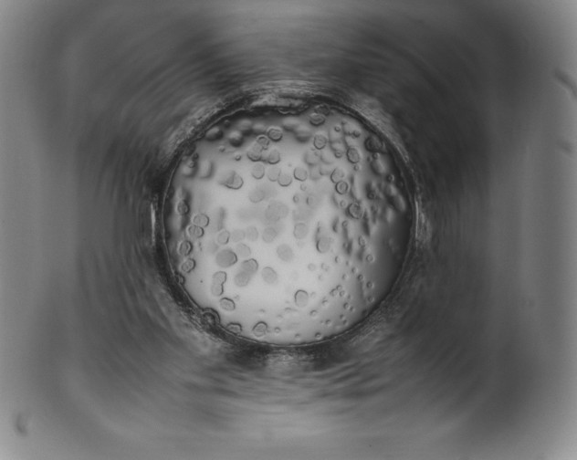 X0000100490109200806271246