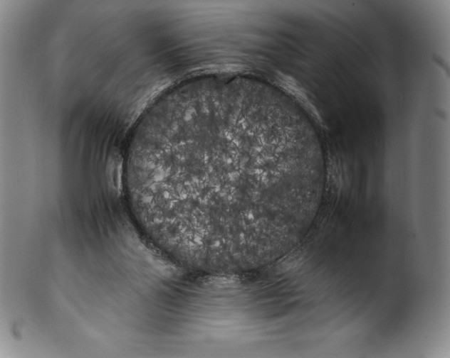 X0000100490110200806271246