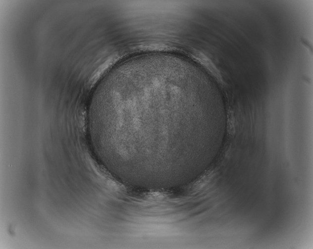 X0000100490111200806271246