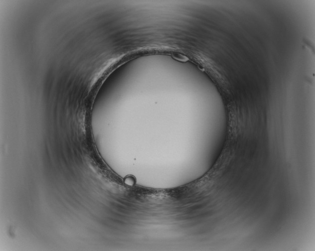 X0000100490112200806271246