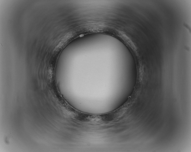 X0000100490113200806271246