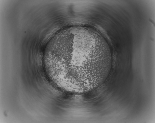 X0000100490114200806271246