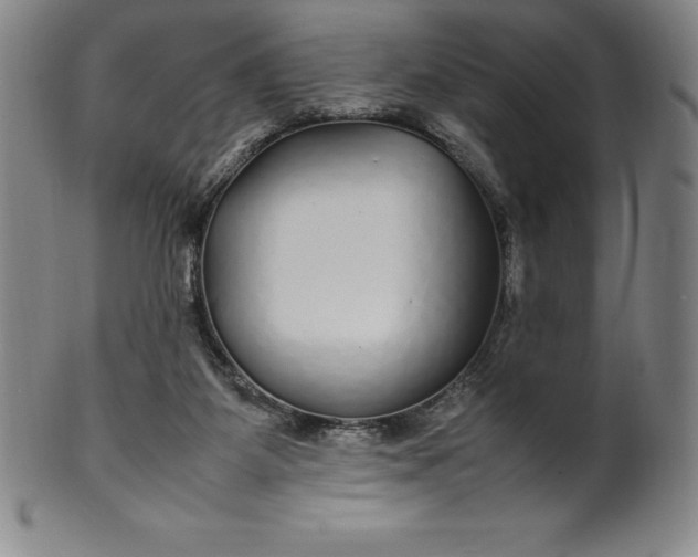 X0000100490115200806271246