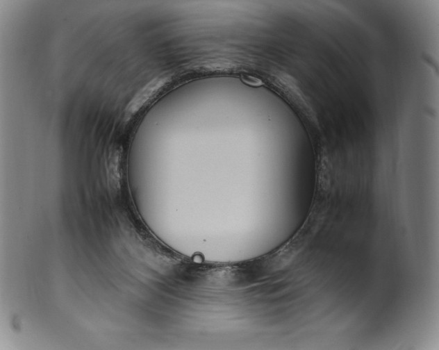 X0000100490116200806271246