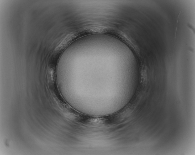 X0000100490117200806271246