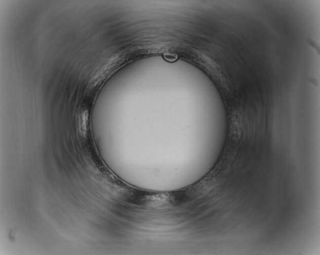 X0000100490118200806271246