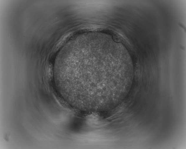 X0000100490119200806271245