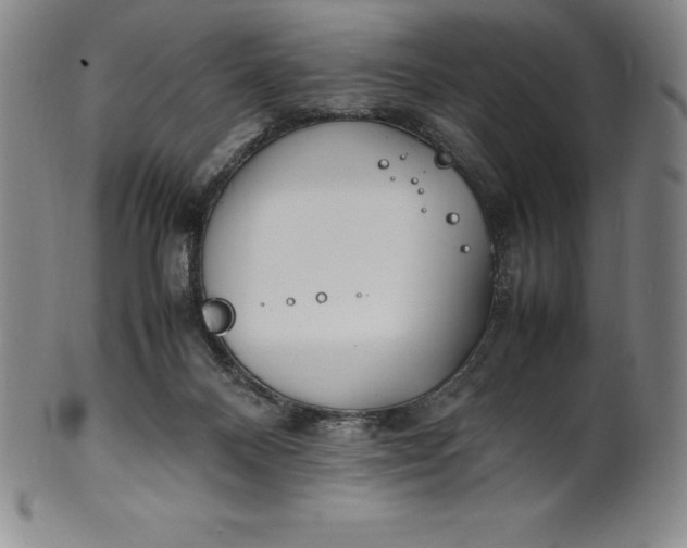 X0000100490120200806271245