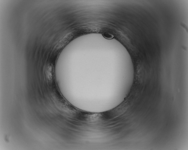 X0000100490122200806271245