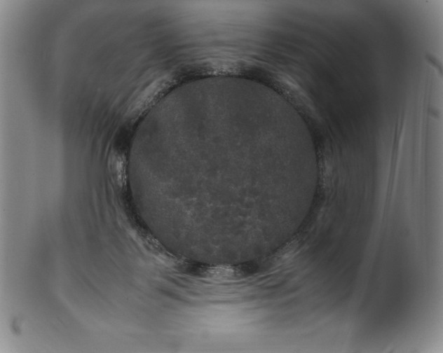 X0000100490123200806271245