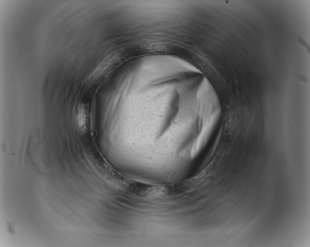 X0000100490124200806271245