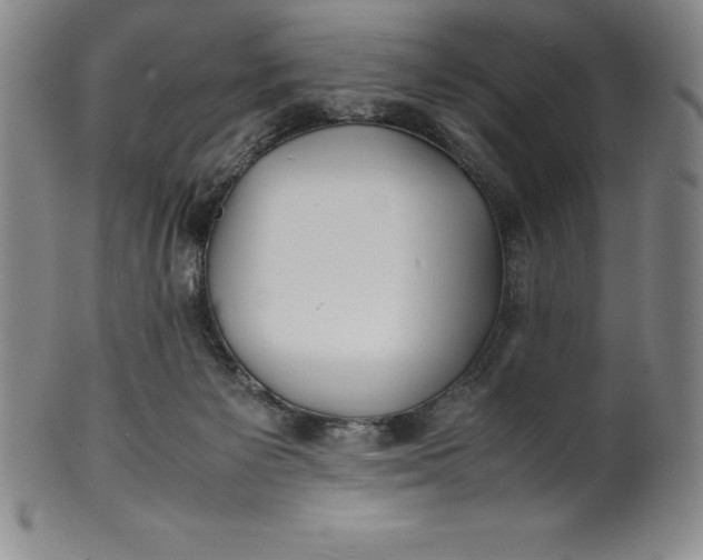 X0000100490125200806271245