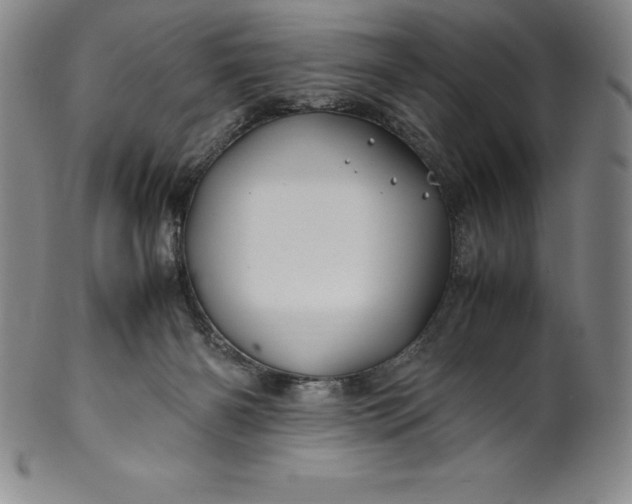 X0000100490126200806271245