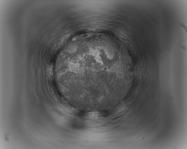 X0000100490127200806271245