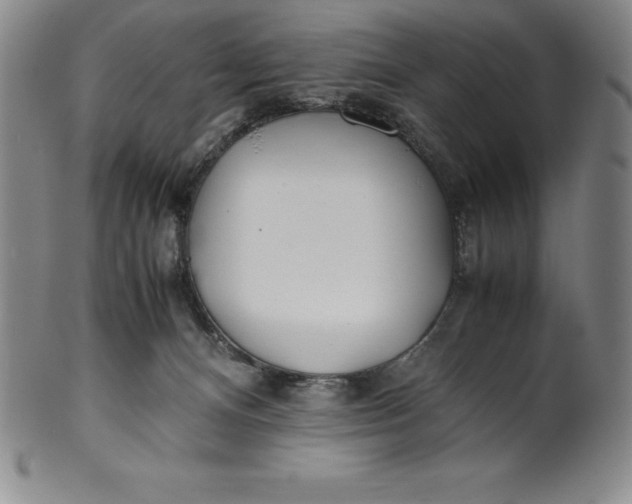 X0000100490128200806271245