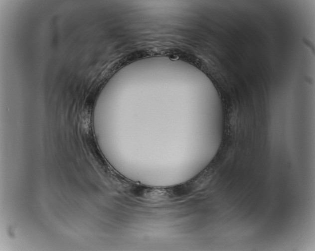 X0000100490129200806271245