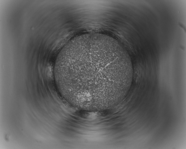 X0000100490130200806271245