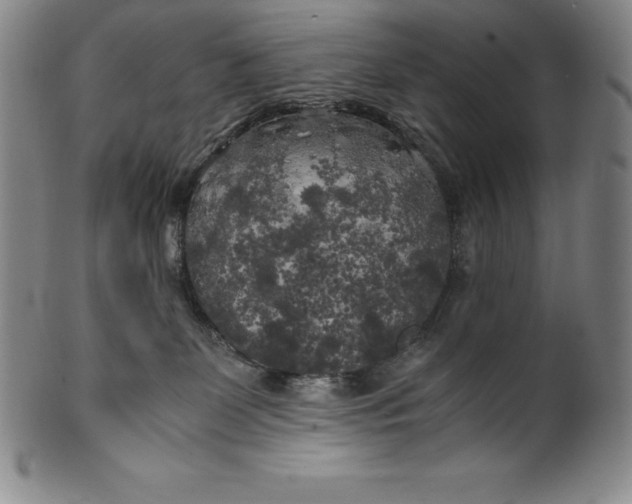 X0000100490131200806271245