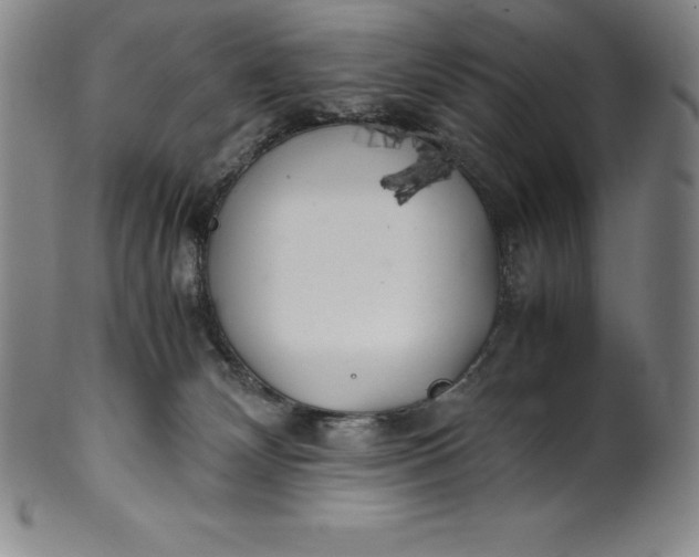 X0000100490132200806271245