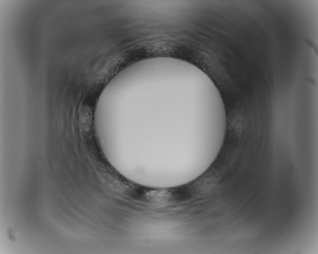 X0000100490133200806271245