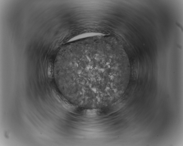 X0000100490134200806271245