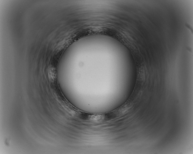 X0000100490135200806271245