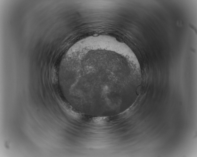 X0000100490136200806271245