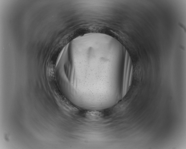 X0000100490137200806271245