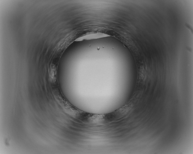 X0000100490138200806271245