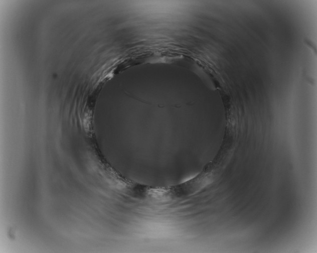 X0000100490139200806271245